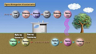 Influence with the natural radioactive material included in the air